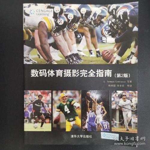 古董商挂件爆料视频大全,挂件爆料视频大全背后的珍稀藏品故事